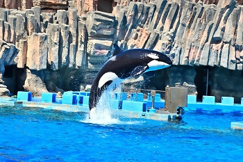 写真:名古屋港水族館親子ペアご招待券