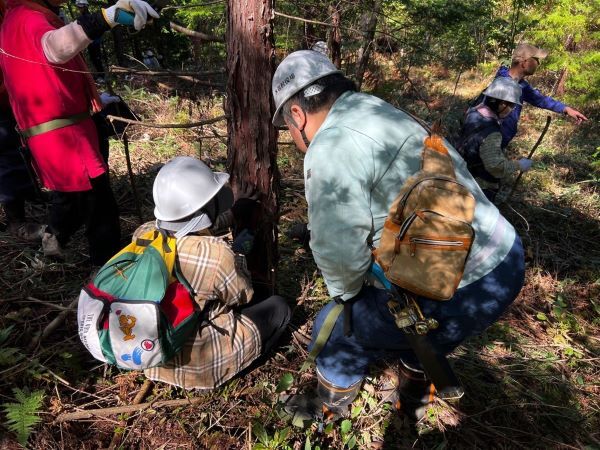 写真:木の剪定を行う様子