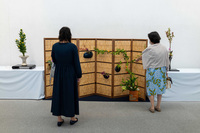 作品の一部(花びょうぶ)