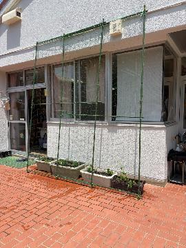 写真:上名古屋保育園のネットの設置と植え付け完了時の様子です。