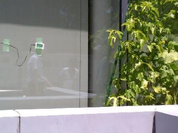 写真:サーモグラフィーで撮影した場所。右側には緑のカーテンがある。