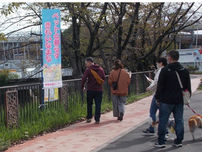 クイズラリー当日の様子の写真1