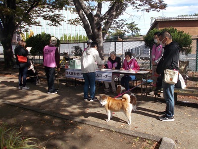 クイズラリー当日の様子の写真2