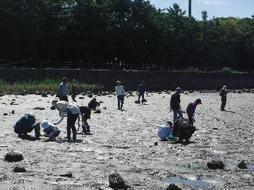 写真：観察の様子