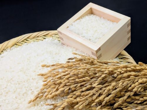 写真:お米