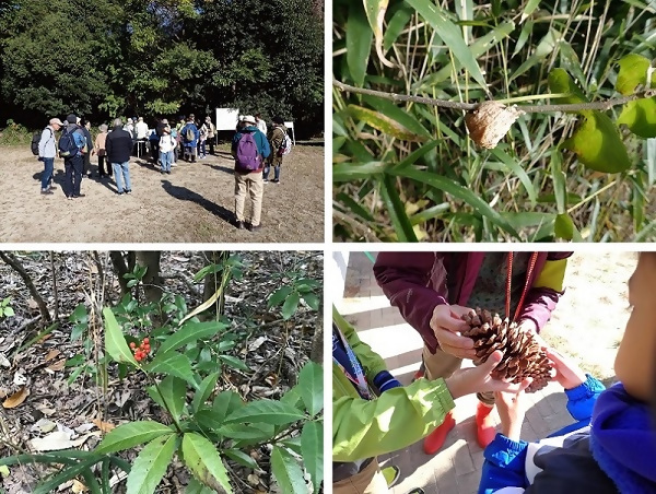 写真：昨年度の散策会の様子