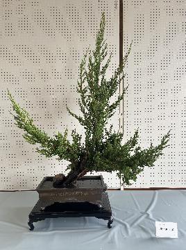 写真：いけばな展の作品1