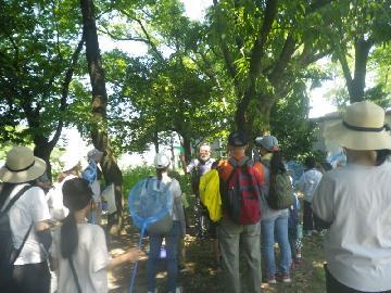 写真：昆虫教室の様子