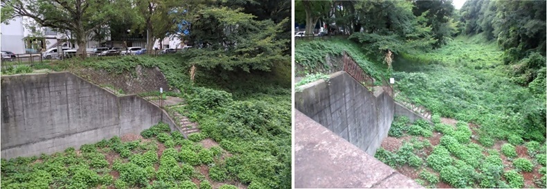 大津駅があった場所の写真