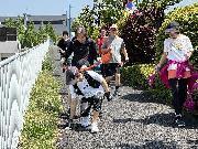 写真：プロギングを行っている風景