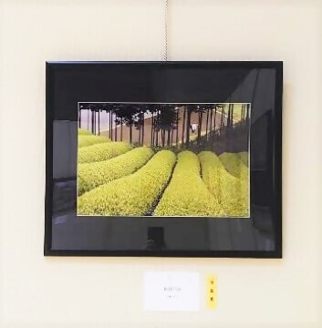 写真:写真の部 市長賞作品