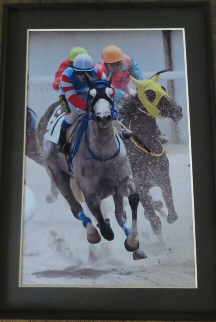 写真:写真教育委員会賞