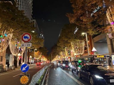 広小路通イルミネーションの様子