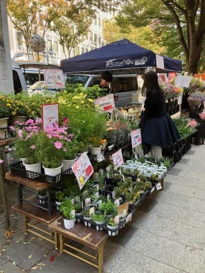 秋の広小路市にてワゴンセールの様子の写真