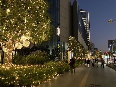 メイエキイルミの様子