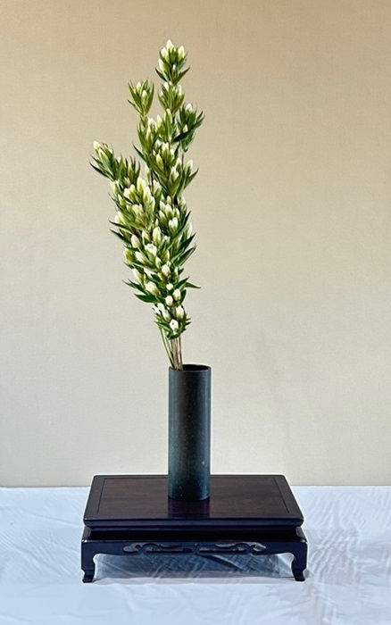 写真:りんどうの画像