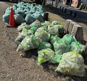 写真:集められたゴミ