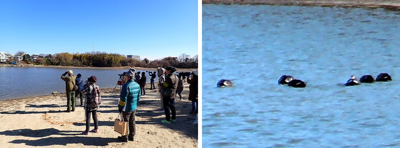 写真：令和6年度の散策会の様子