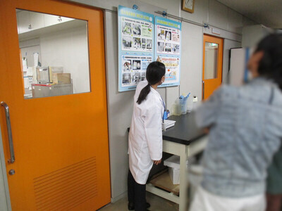写真：検査室の見学風景