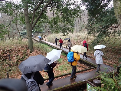 写真：令和6年度第6回散策会の様子