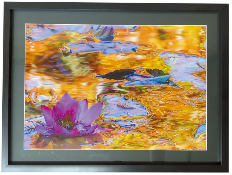 写真：写真の部　市長賞作品