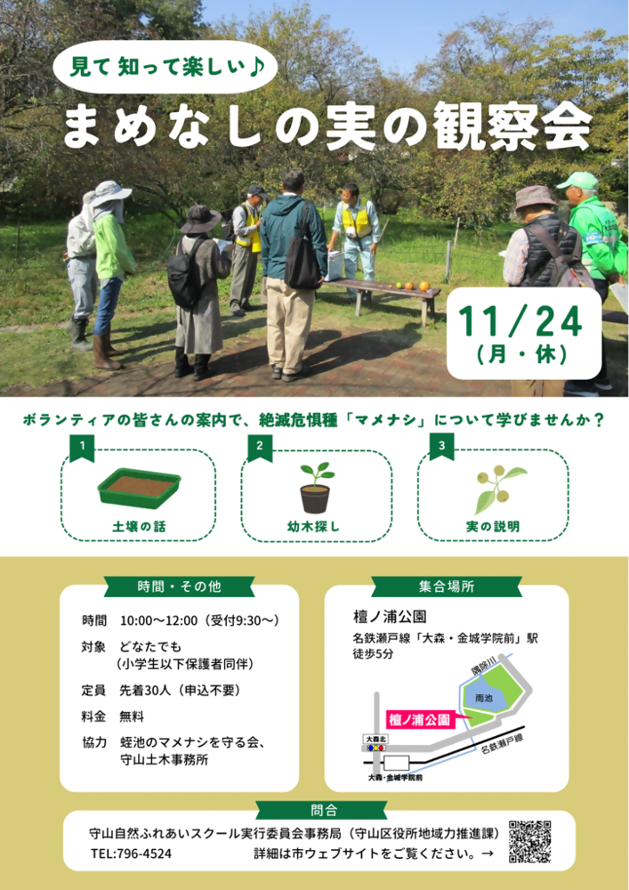 まめなしの実の観察会チラシ画像