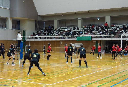 写真：大会の様子