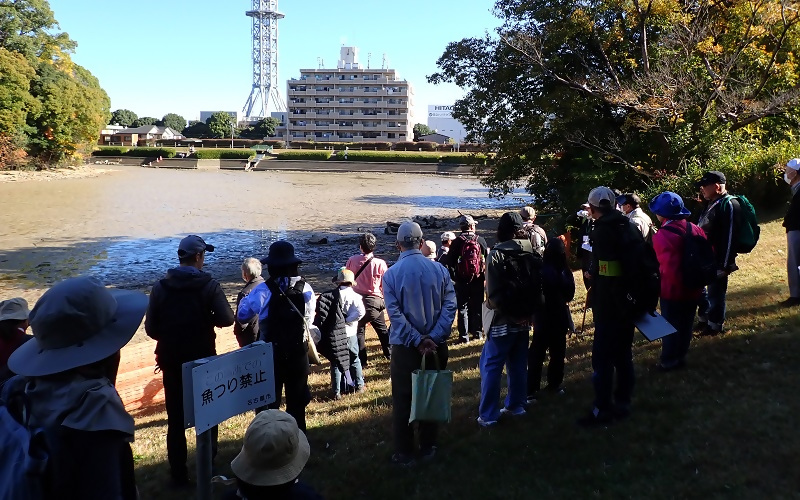 写真：池干し中の明徳池