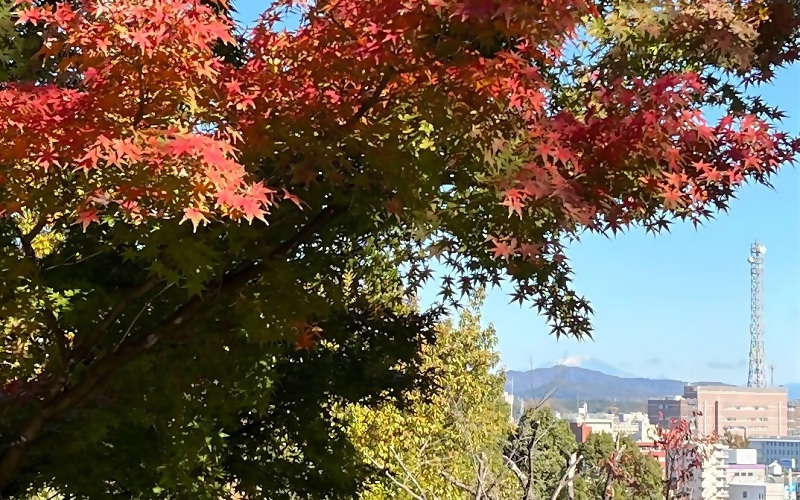写真：紅葉したカエデの奥に御岳が見える