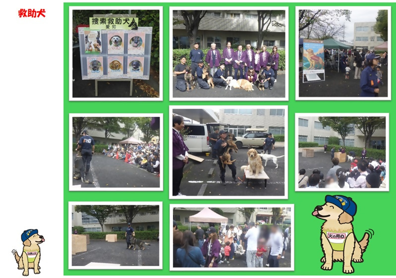 救助犬