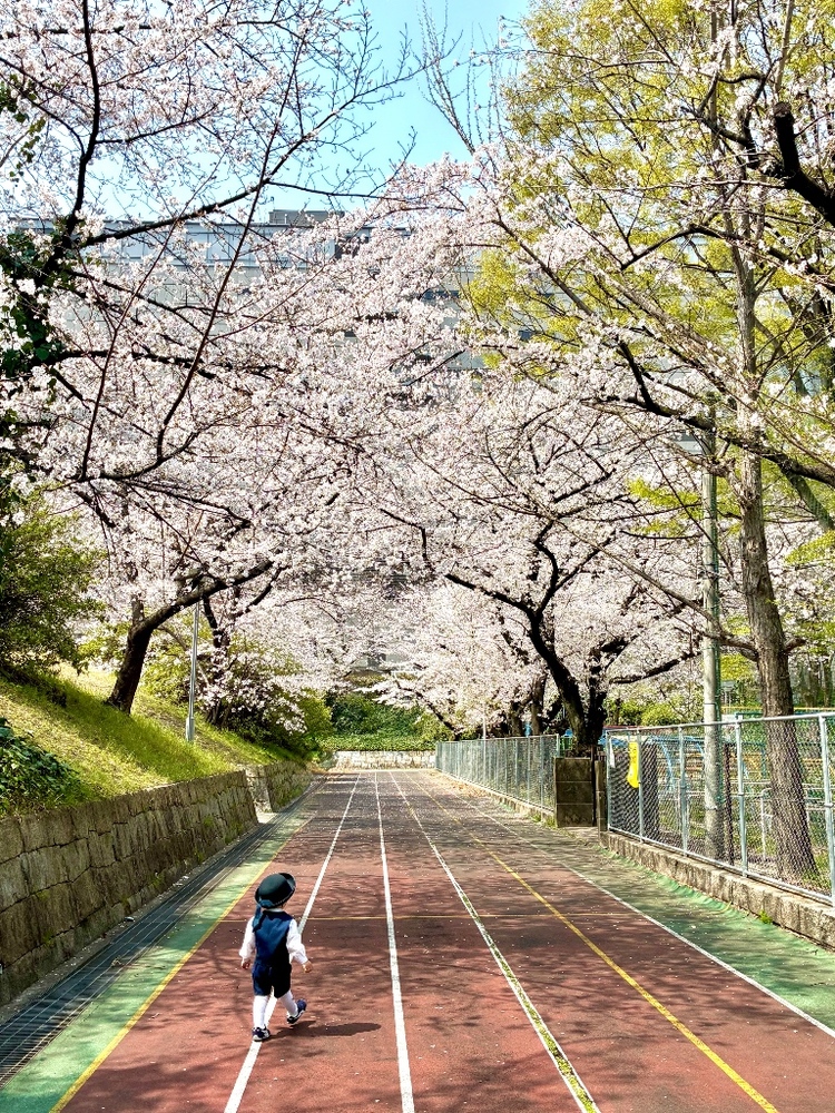 東桜小学校と栄公園(久屋大通公園)の間の通りの写真