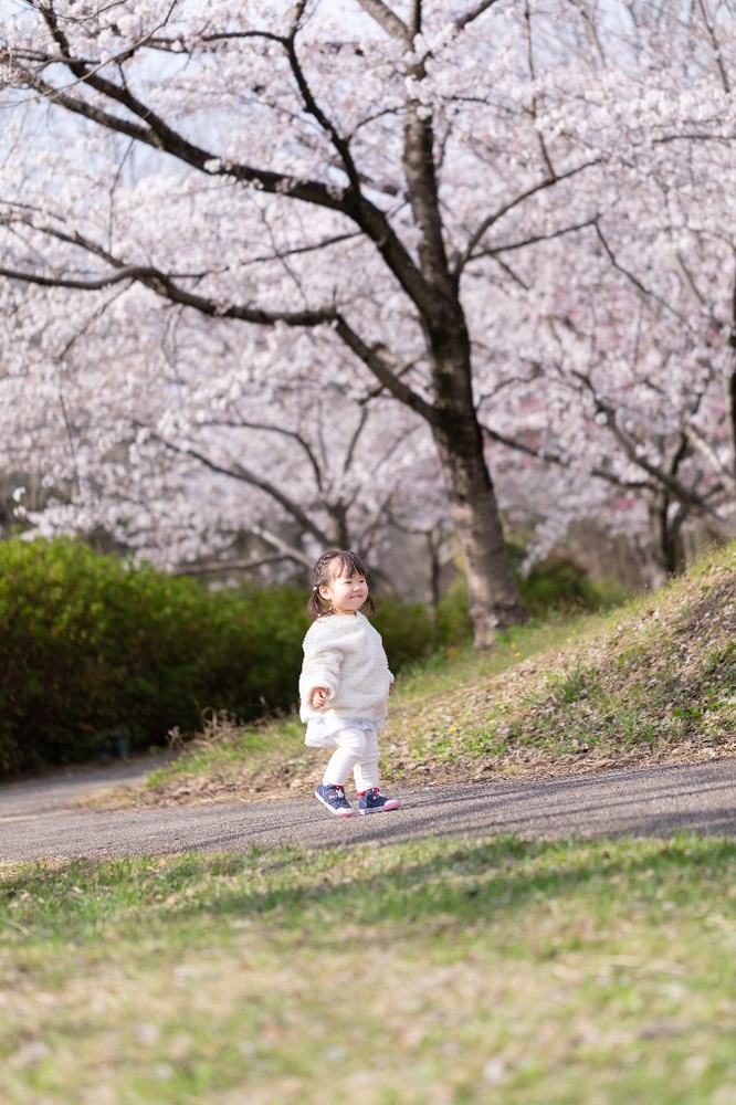 大高緑地の写真