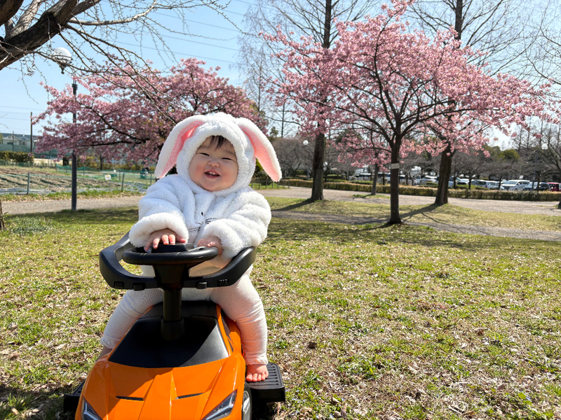 meitoこどもランド・とだがわの写真