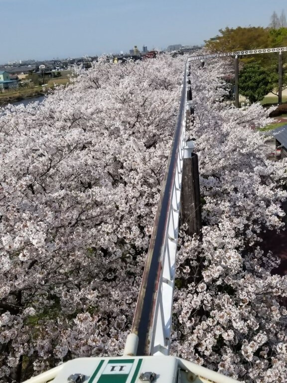 サイクルレールからの眺め