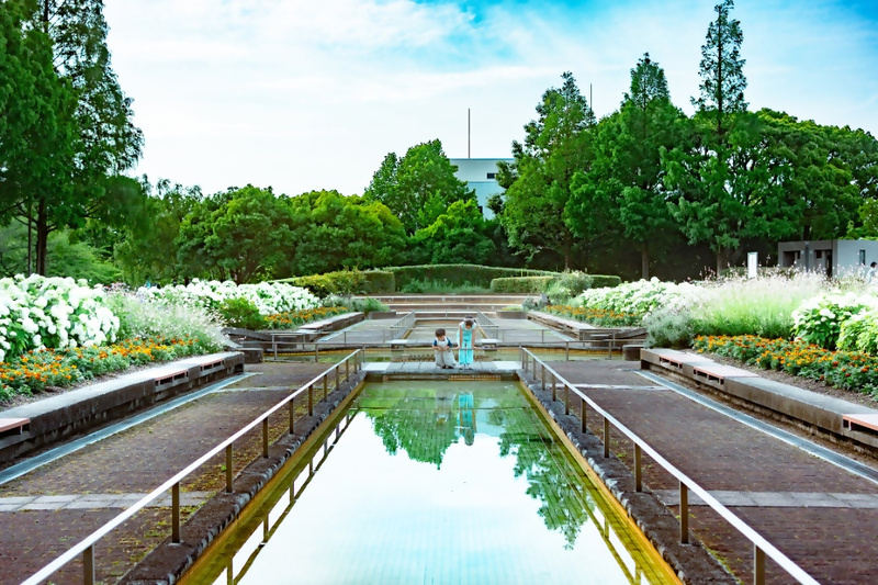 荒子川公園の水辺