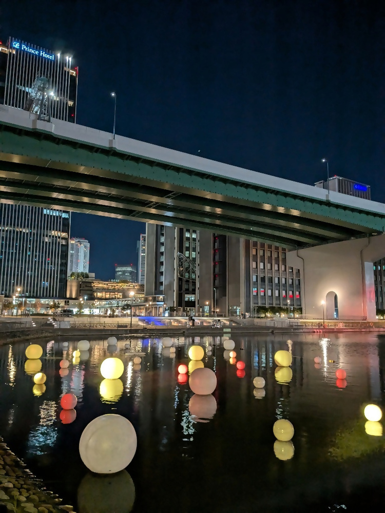 堀止緑地の様子