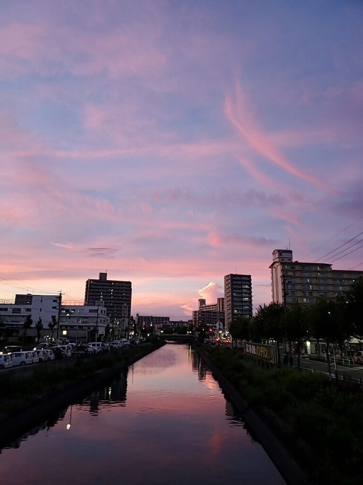 橋から見る夕焼け