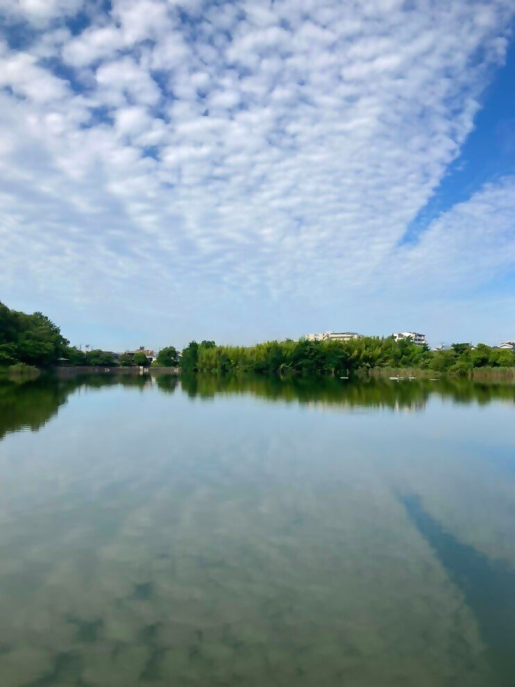 新開池公園の様子