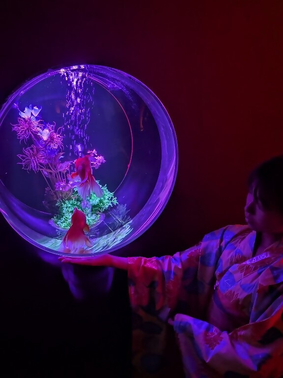 アートアクアリウムの写真