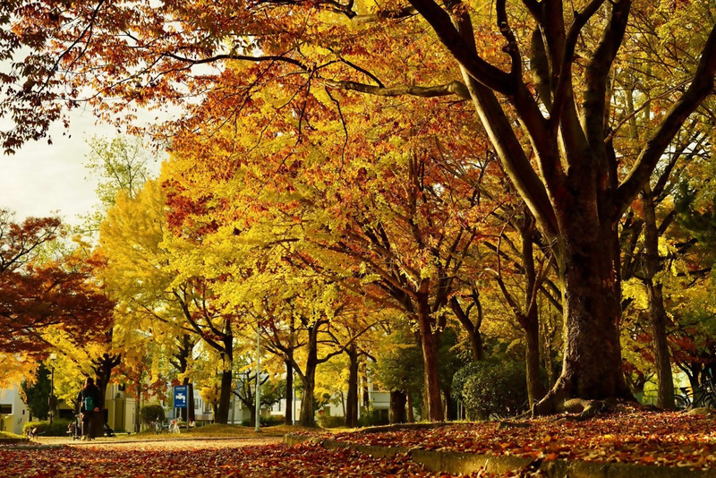 千種公園の写真