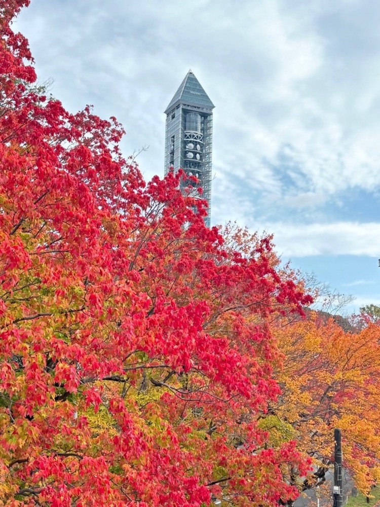 東山動植物園スカイタワーの写真
