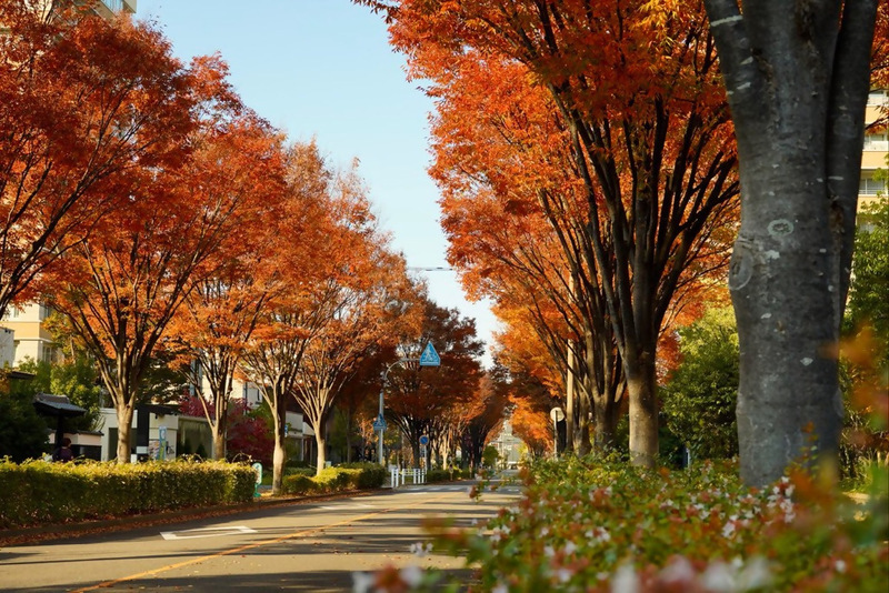 名古屋セントラルガーデンの写真