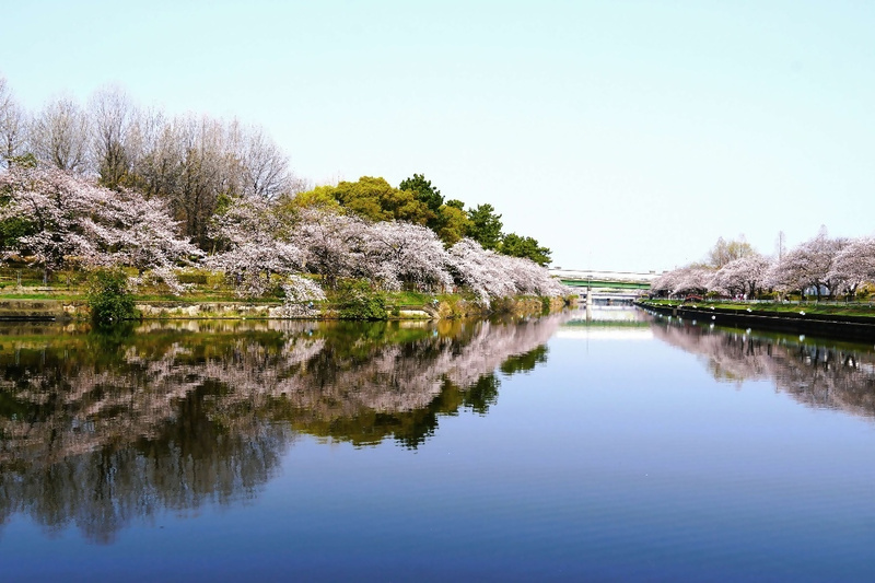 荒子川公園の写真