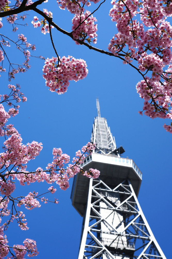 中部電力MIRAI TOWERの写真