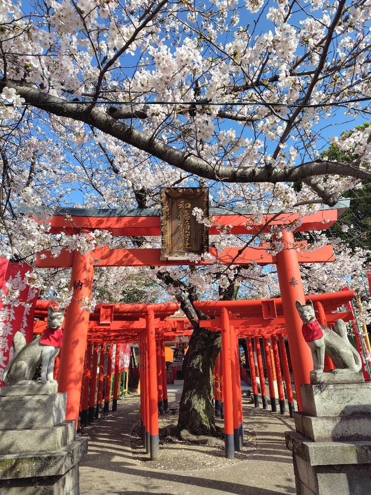 和徳稲荷社の写真