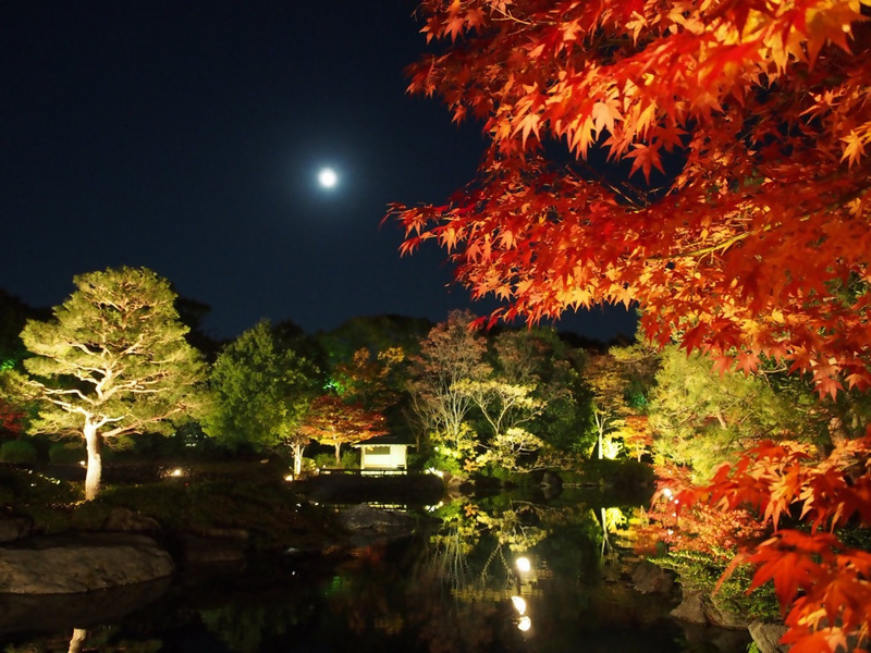 白鳥庭園の写真