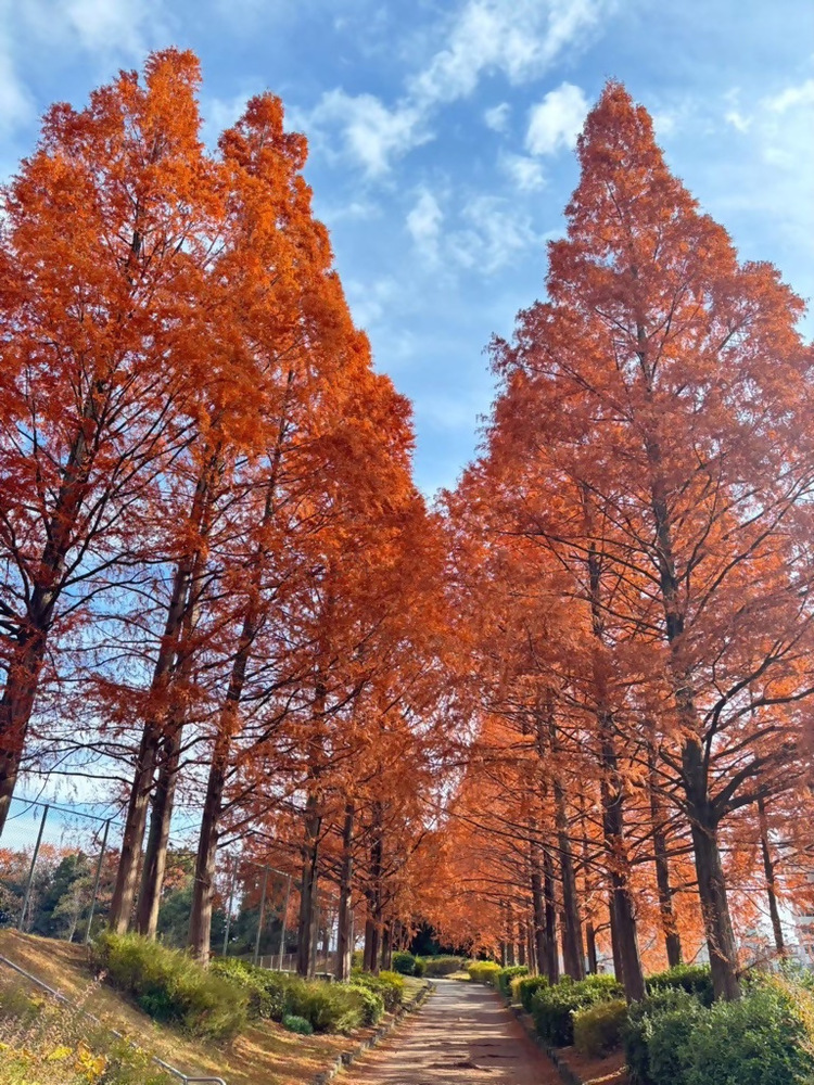 戸笠公園の写真