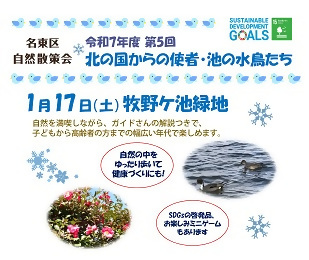 写真：名東区自然散策会のチラシ