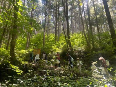 森を歩くバスツアー参加者たちの写真