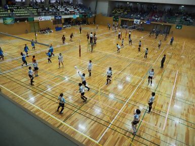 写真：レクリエーションバレーボール